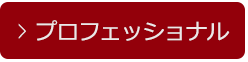 5.プロフェッショナルプラン