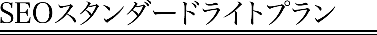 SEOスタンダードライトプラン