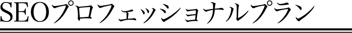 SEOプロフェッショナルプラン